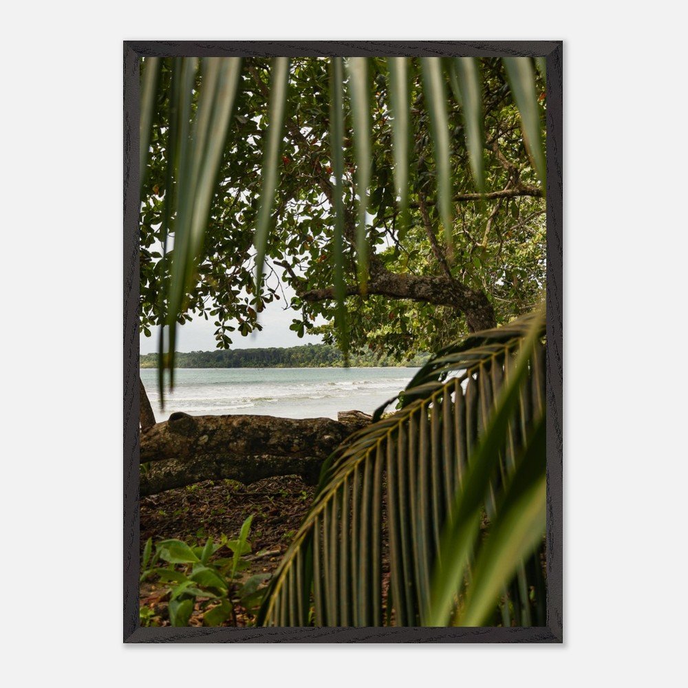 costa rica caribbean sea framed fine art print travel photography print hawaii photography beach print travel decor wall art 0066513b-a178-4a65-bc2b-278f0058d7ce