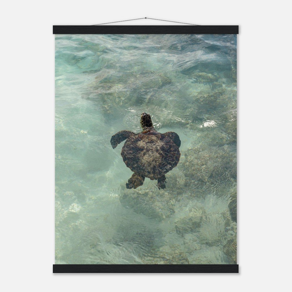 067bc8a1-faf9-41f5-b5ff-fc57e9115518