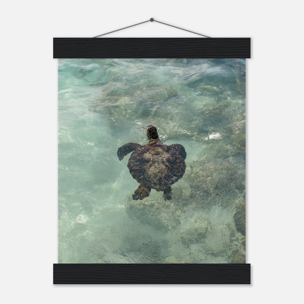 09dc9cac-d083-4709-ad89-76600ae47475