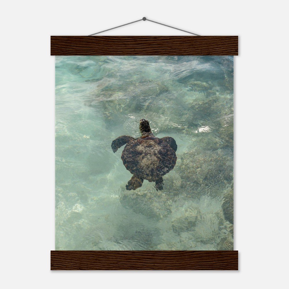 0c3c865a-807e-4b55-91f2-3bb9c3704354