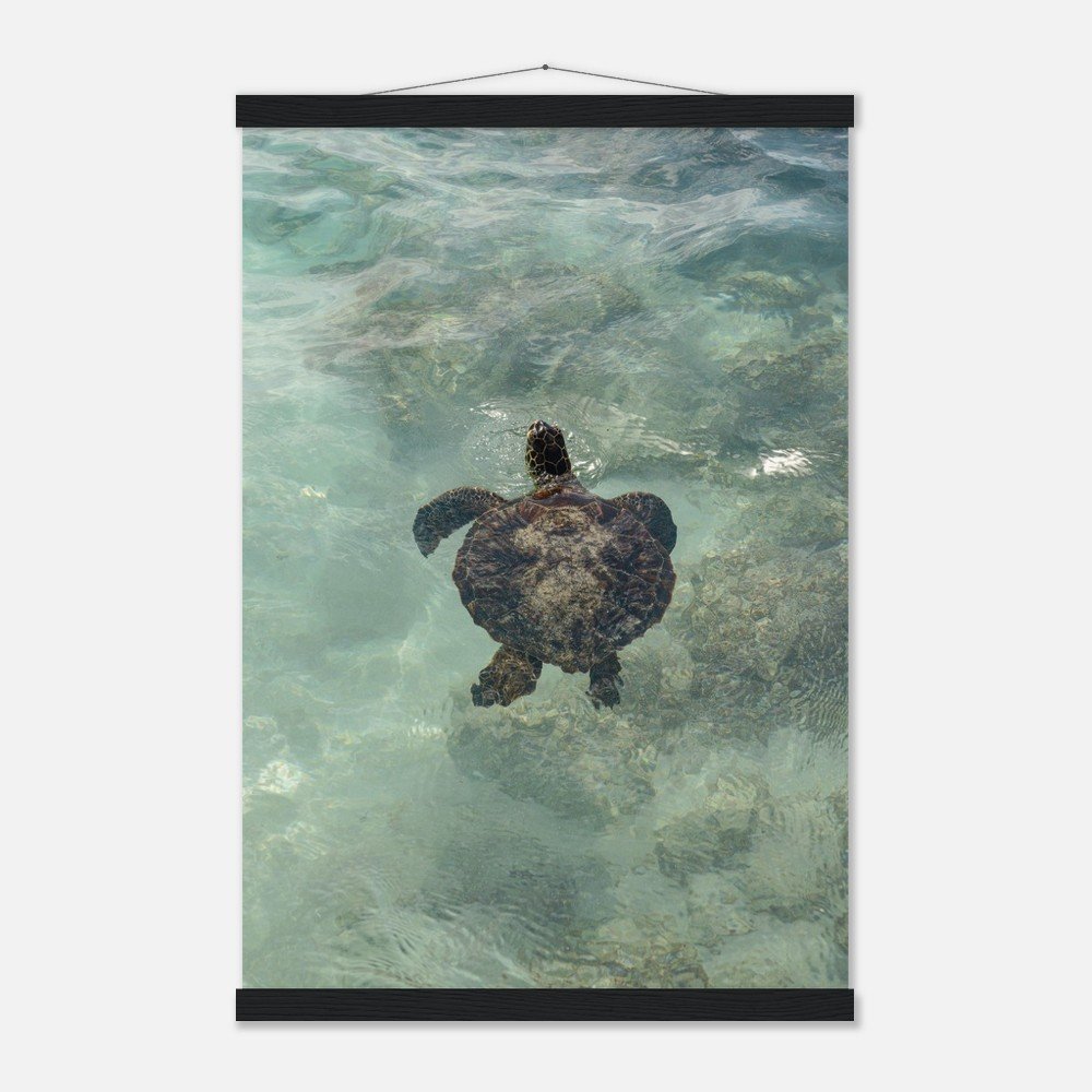 0cd1872a-a8ee-495f-92cd-0dac73d79195