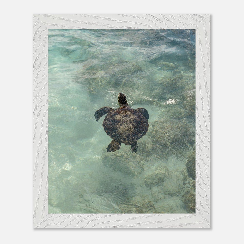 13192c56-b9a0-41b2-821f-43a84189c909