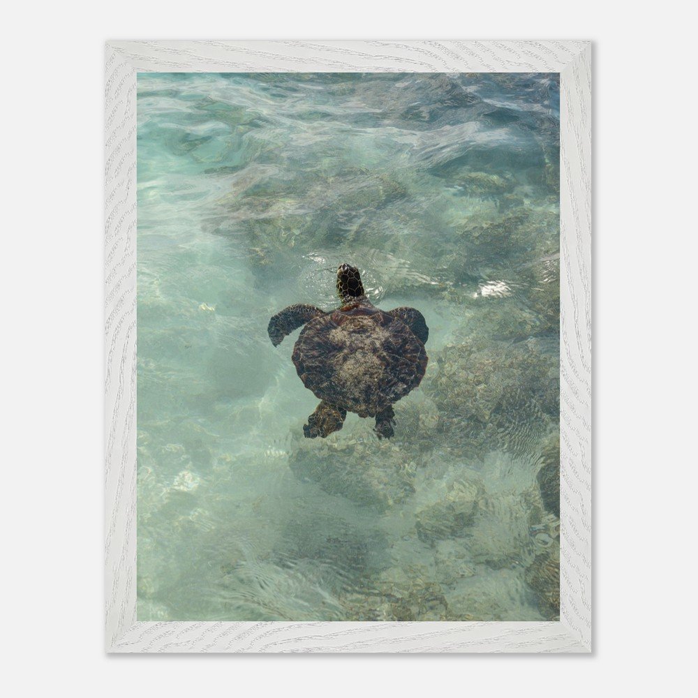 16929228-0bf1-445f-b004-04ecdacdc650