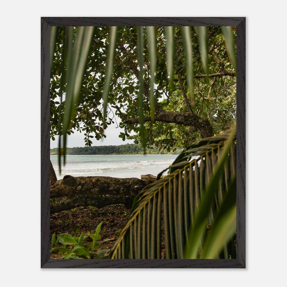 costa rica caribbean sea framed fine art print travel photography print hawaii photography beach print travel decor wall art 1735114d-7910-45ff-9e3c-36fb654951ae