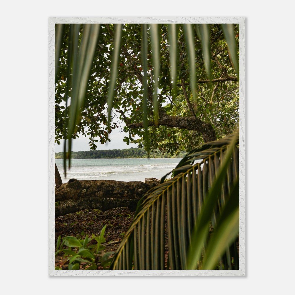 costa rica caribbean sea framed fine art print travel photography print hawaii photography beach print travel decor wall art 199562f1-b6ab-4472-8f78-bc4d3f3d1a9d