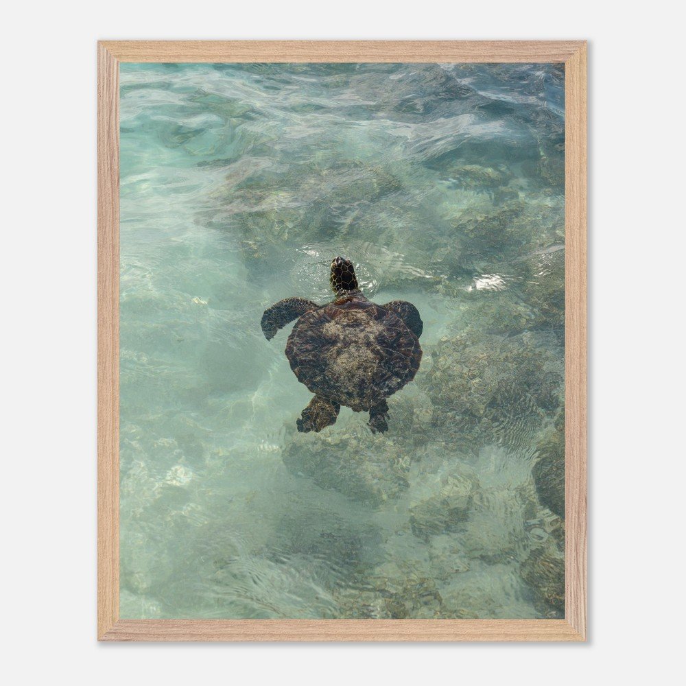 1a68fd50-1240-4d38-8d8c-b531b6ab4113