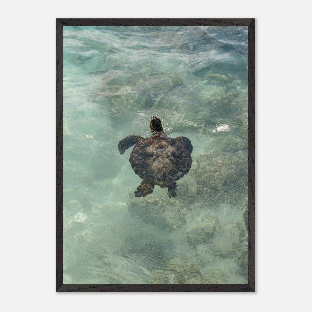 1c093c66-743d-42eb-9e77-35e9e060d852