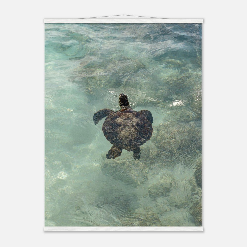 1daf4b04-b777-46c5-af82-ee205cee57dc