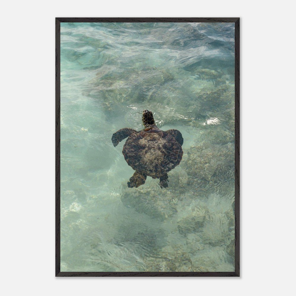 1f439ea1-973b-4ceb-afa6-1fb1854e1959