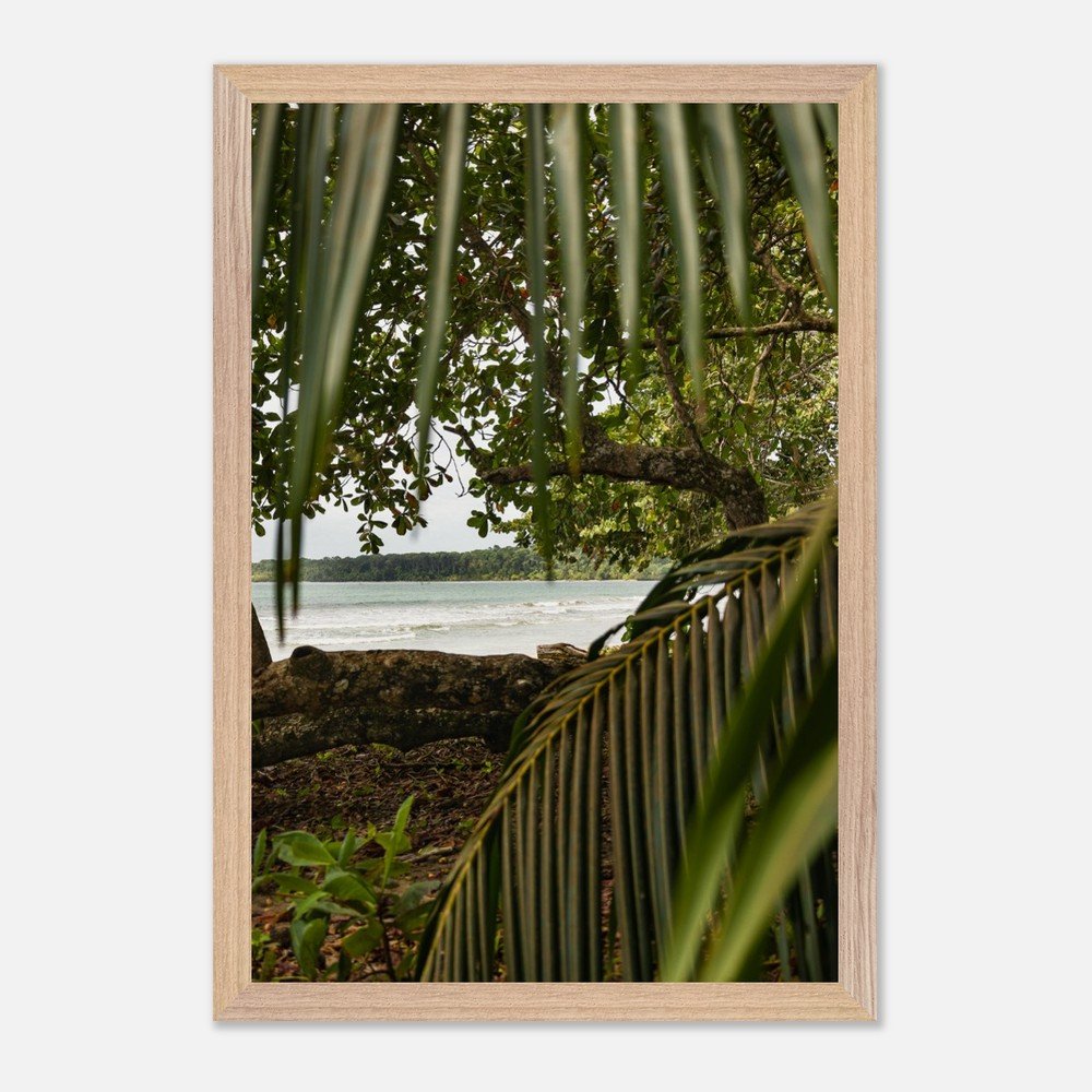 costa rica caribbean sea framed fine art print travel photography print hawaii photography beach print travel decor wall art 22599a4f-b6ec-4aa3-a0d3-ba2e485994f1