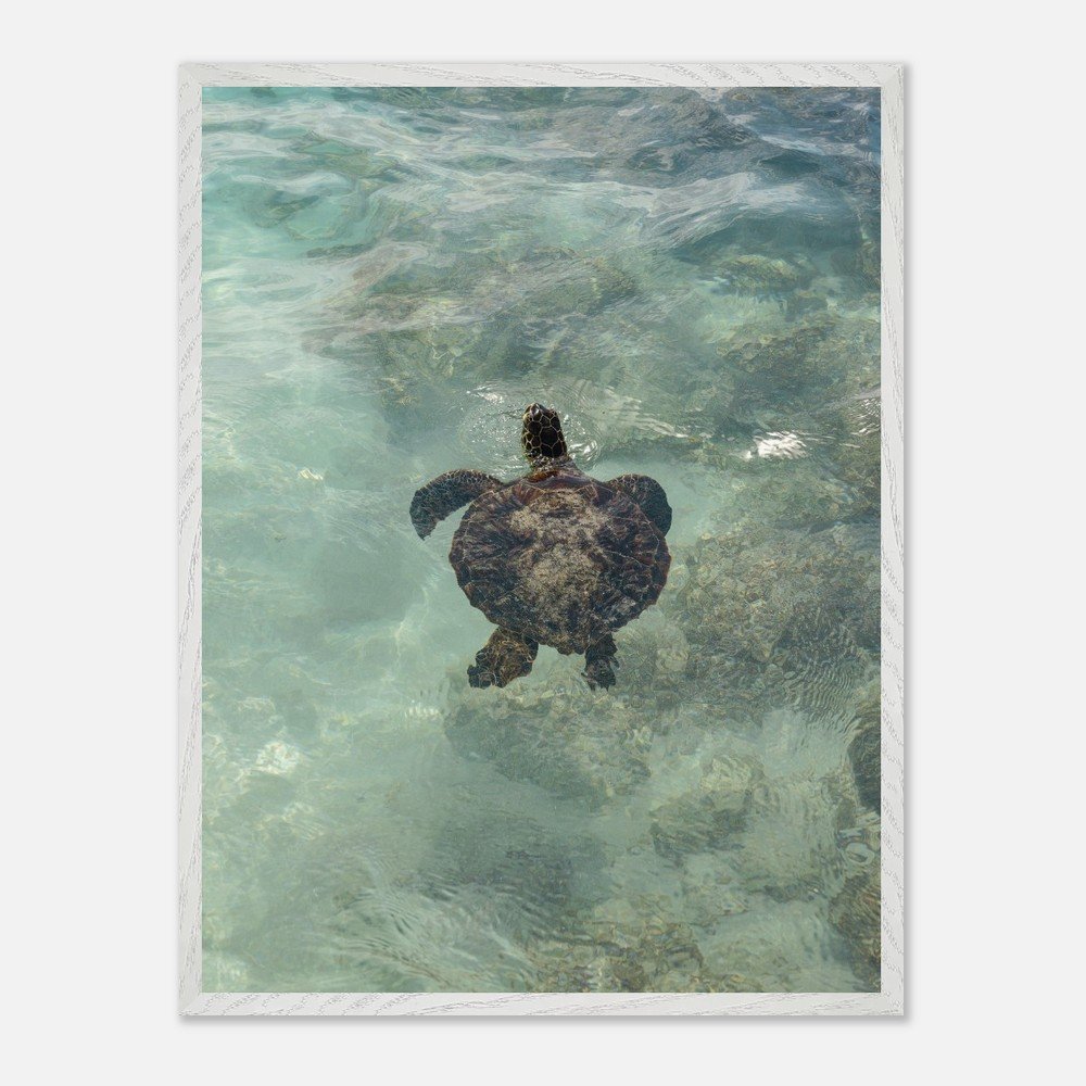 28c120c9-e7d0-47a4-be93-9962a1c2b848