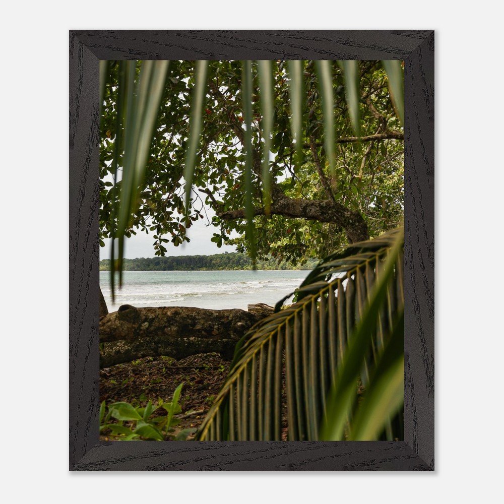 costa rica caribbean sea framed fine art print travel photography print hawaii photography beach print travel decor wall art 2ade59cf-23e9-46a2-973b-32871fa26548