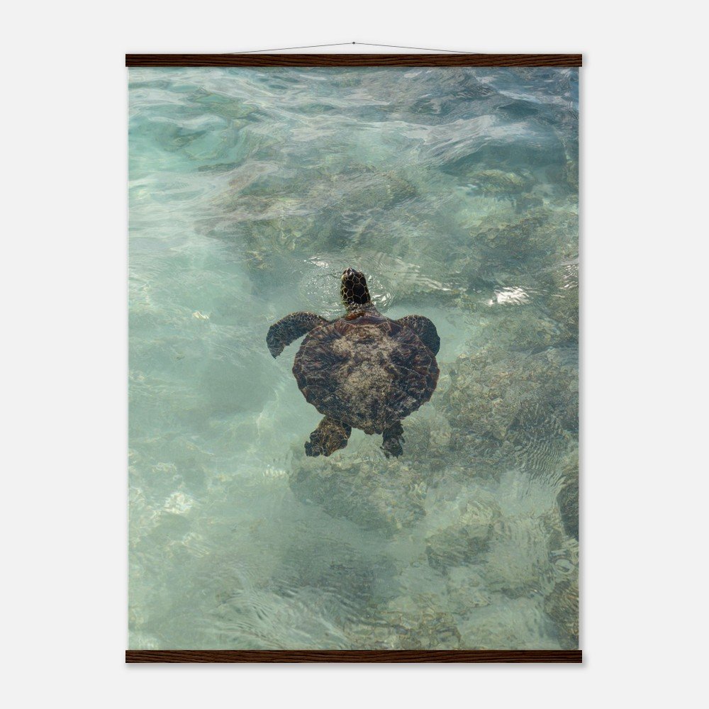 31b0f1a6-013a-471c-9c01-933e20a43176