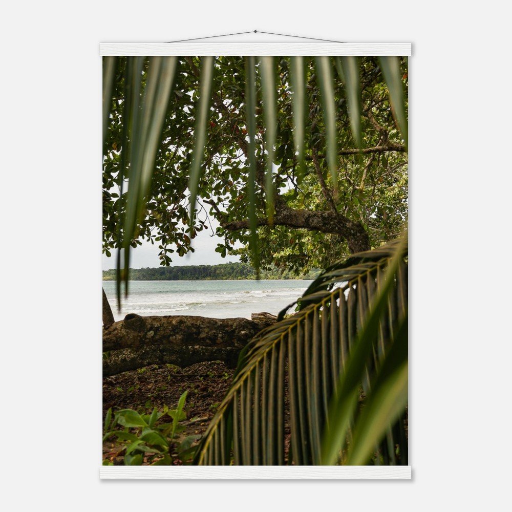 329c8521-9fc5-41ce-8786-c3e38ad05db9