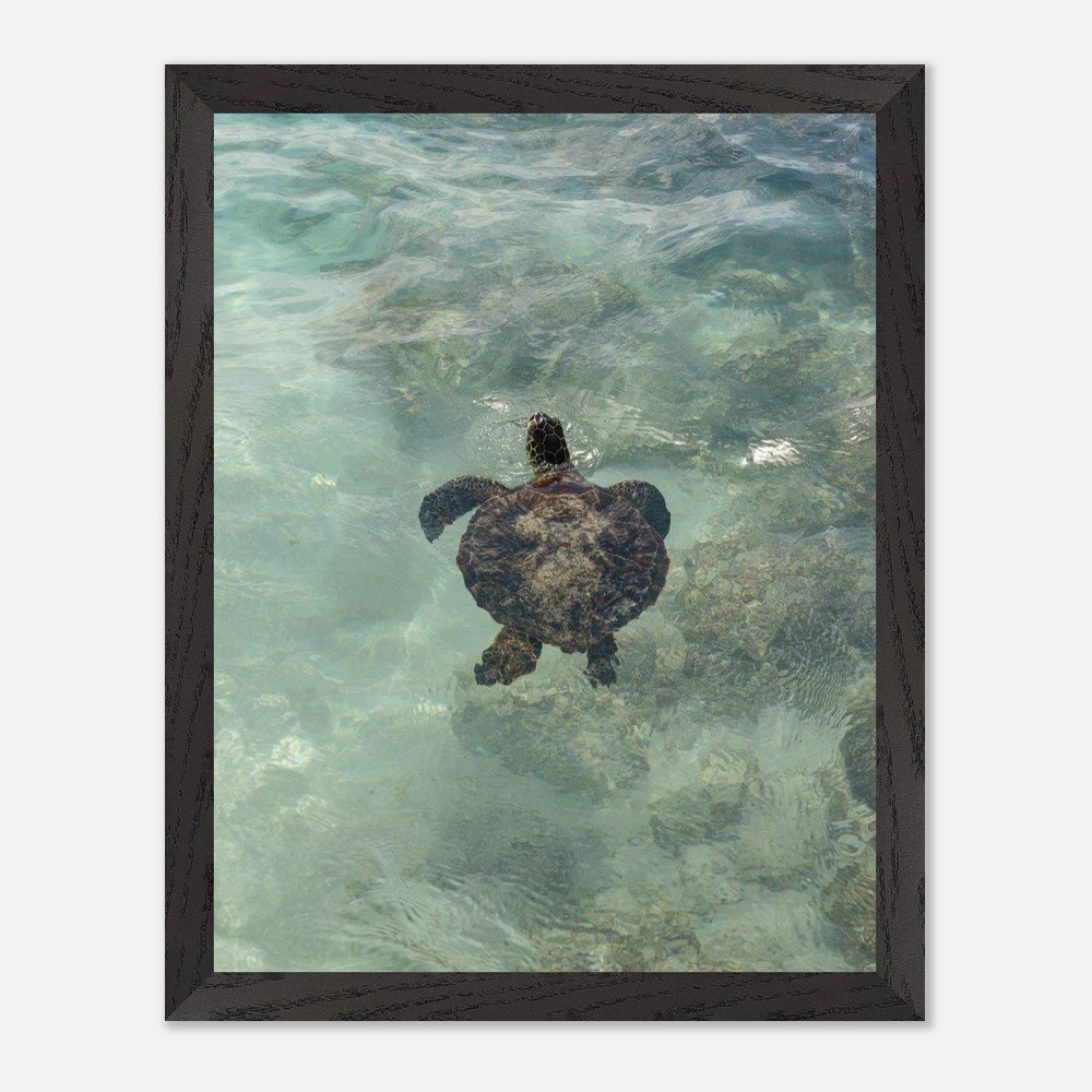 33d5272a-bdd7-4e76-84e5-b4bf618ee2ba