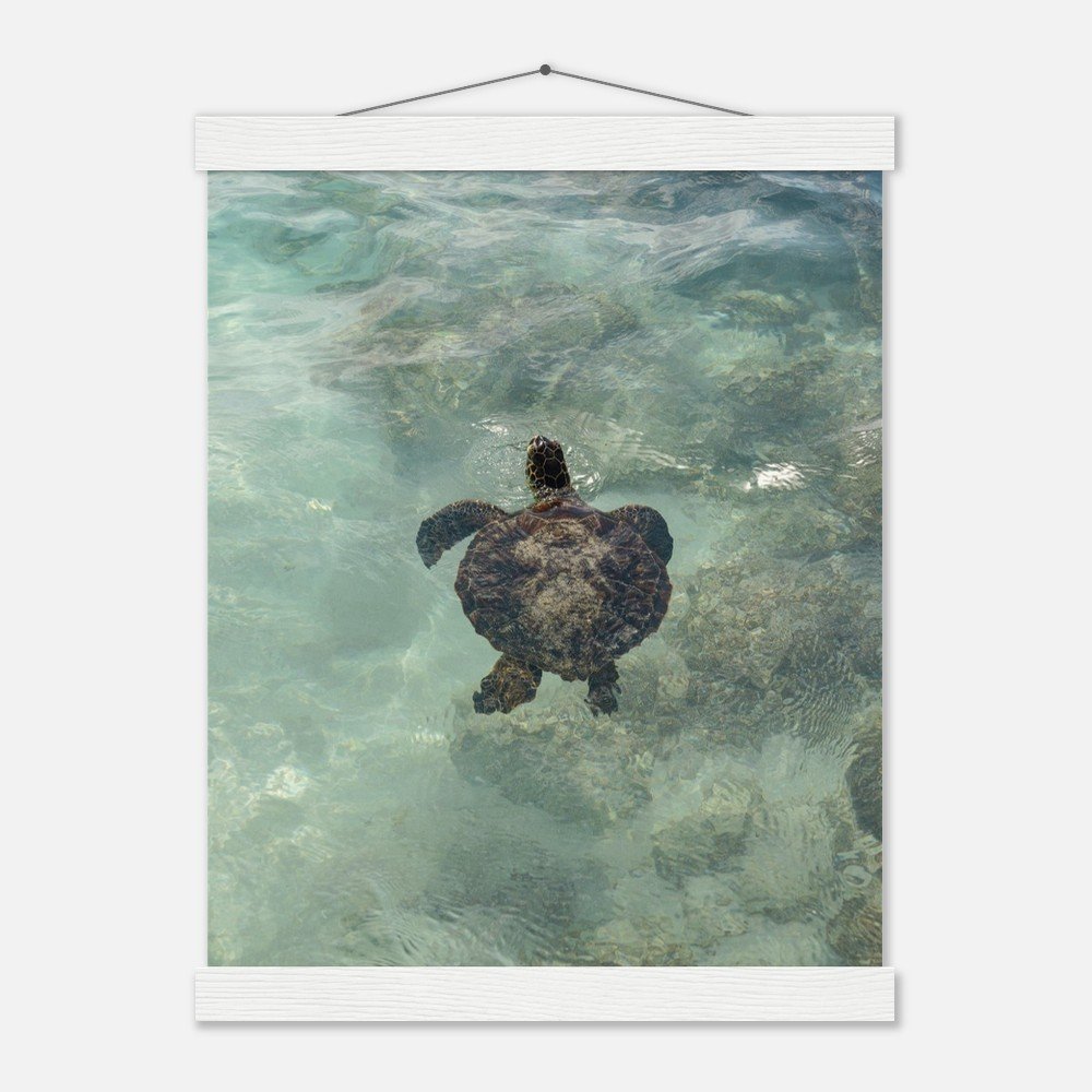 351452cd-8f74-4724-a40f-37778034ae41