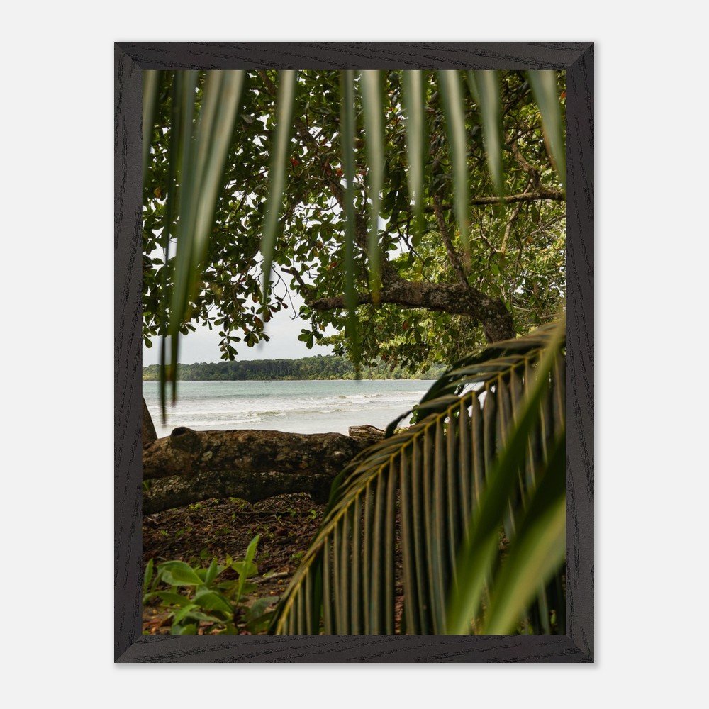 costa rica caribbean sea framed fine art print travel photography print hawaii photography beach print travel decor wall art 355ed5a6-9562-4a55-b168-04e9d31e8168
