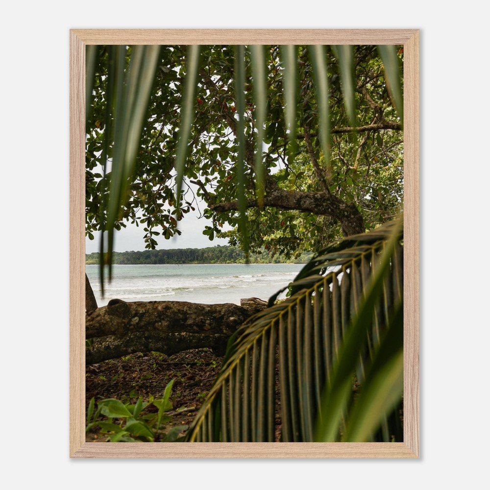 costa rica caribbean sea framed fine art print travel photography print hawaii photography beach print travel decor wall art 35fd0083-6e77-4bfd-89a2-a2e8ec35882e