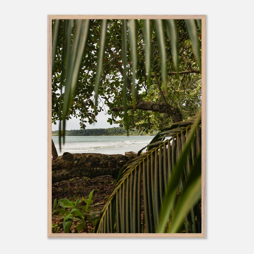 costa rica caribbean sea framed fine art print travel photography print hawaii photography beach print travel decor wall art 3b22cce8-1124-4bdb-a4bb-8c175fdf5130