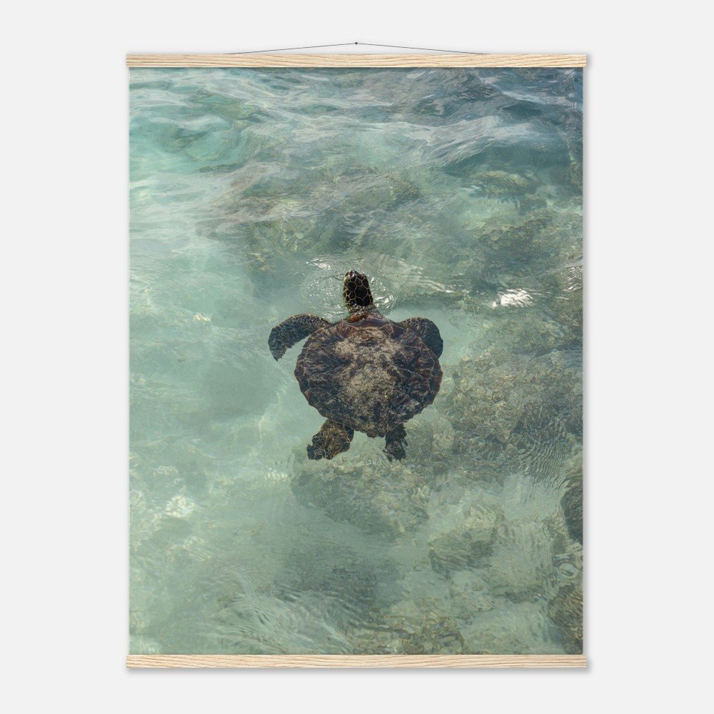 4077b75a-46bb-488d-bee4-48569a61412b