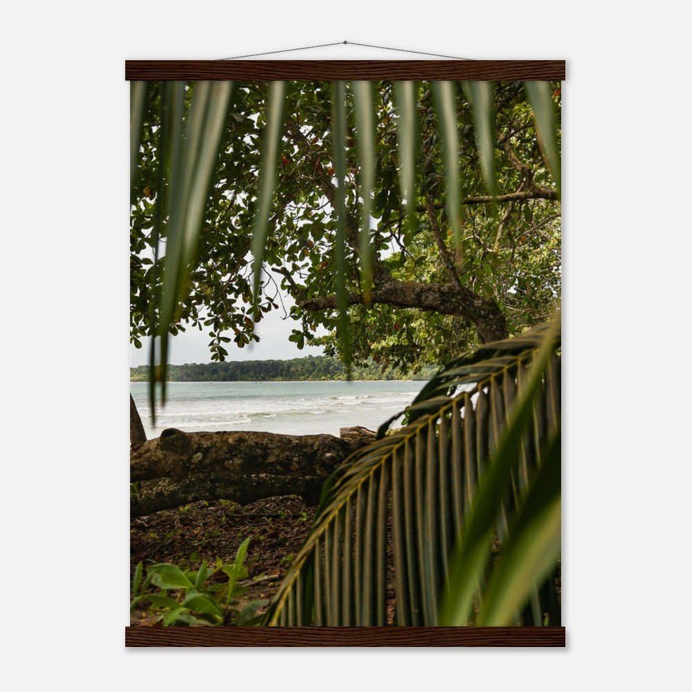 41c77c0f-dbbd-43f6-98bd-bef467064f2a