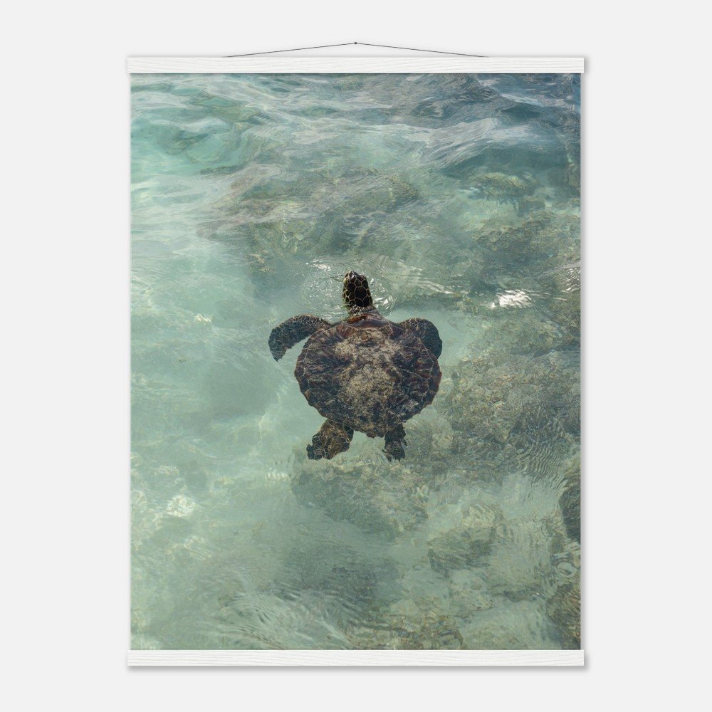 438c5f2e-40d8-4168-90d2-b610d8394c51