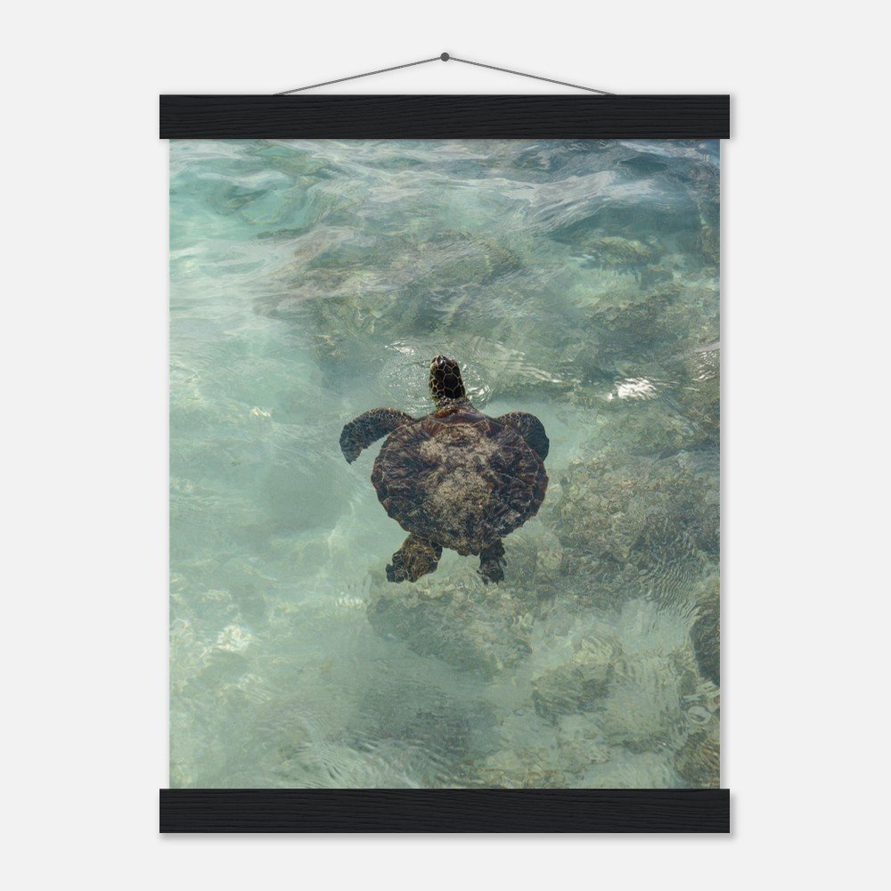 4aff02a1-e62b-43c1-a1ce-de86f51124c1