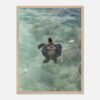 framed print sea turtle hawaii photography fine art wall decor print beach aesthetic poster living room wall art tropical gift for traveler 4bc26489-386d-4b5c-9a31-26cb00c11f24
