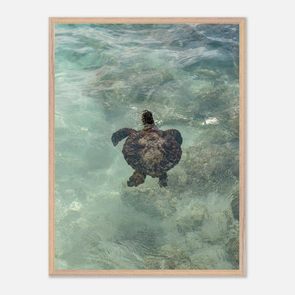 4bc26489-386d-4b5c-9a31-26cb00c11f24