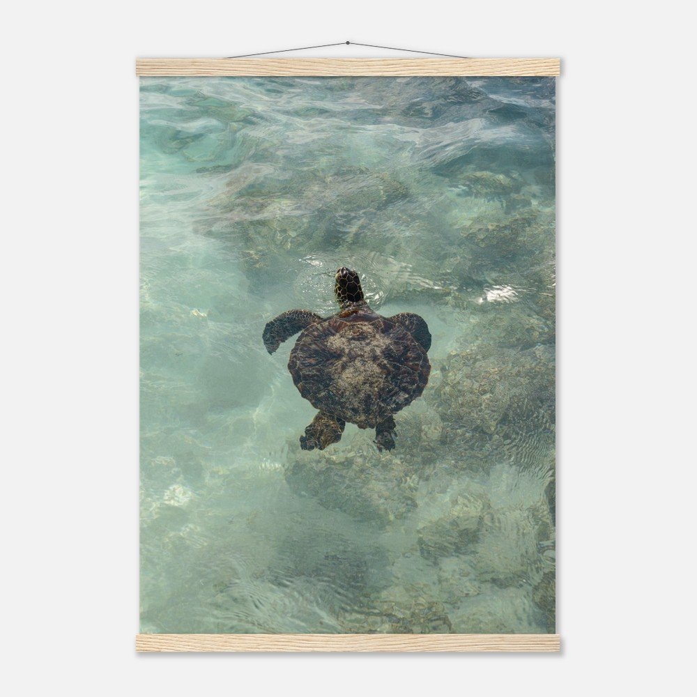 512e6ca8-dede-4ebf-b406-0cb8c89afa57