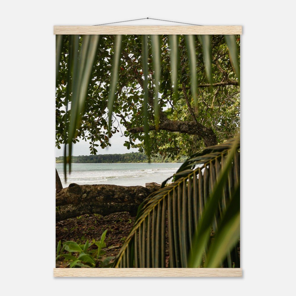 515bab2b-e5ff-4c7b-95bf-333fe04f8e40