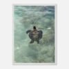 framed print sea turtle hawaii photography fine art wall decor print beach aesthetic poster living room wall art tropical gift for traveler 537d468d-8d32-40b6-96ae-695e61f9729f