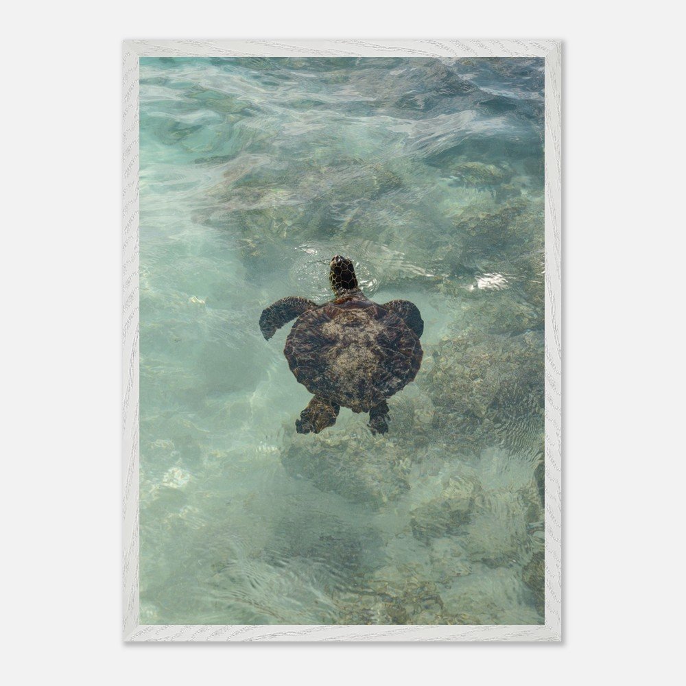 537d468d-8d32-40b6-96ae-695e61f9729f