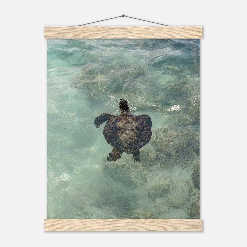 56f3f38d-096f-4d00-9425-bc0e1065d8cf