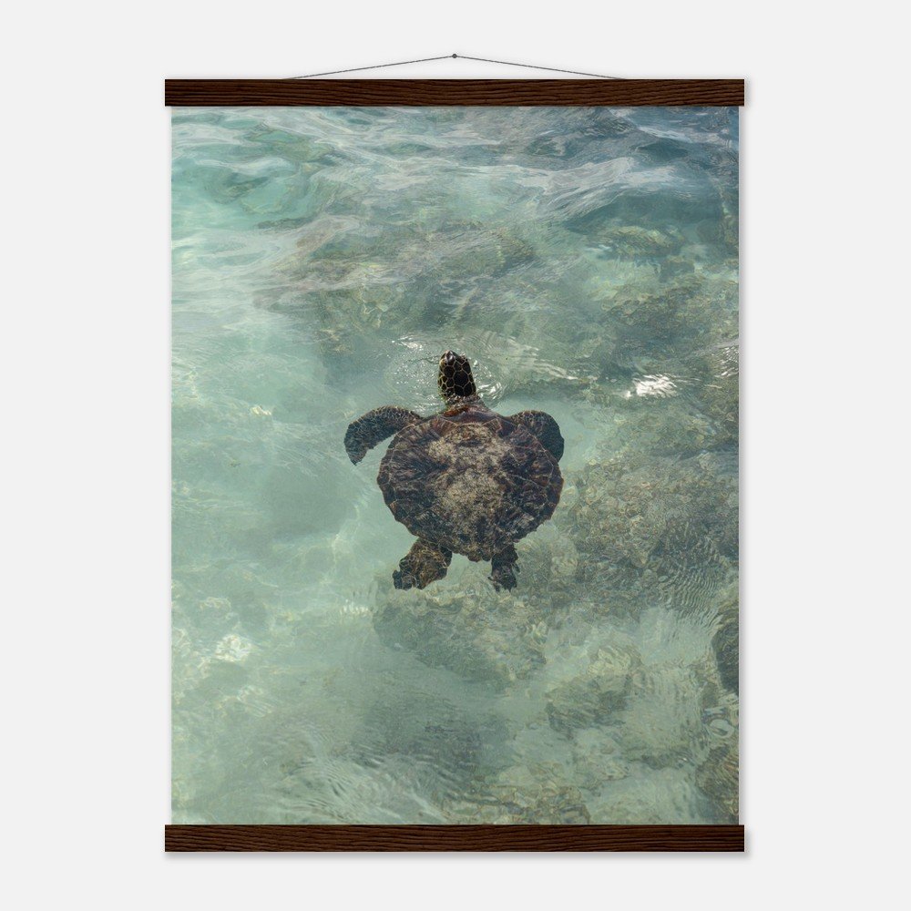 58ba3aad-dc5c-4e7b-a1d9-78ca5fbec2d5