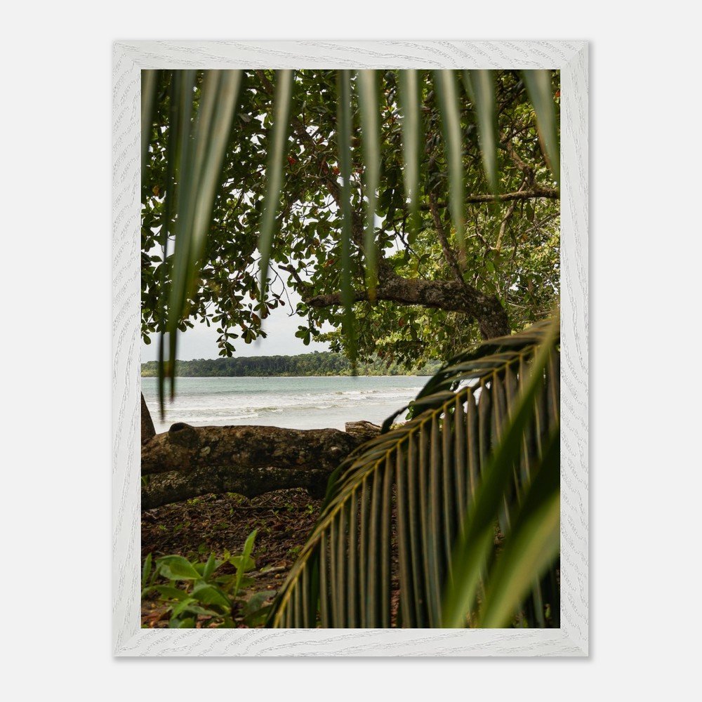 costa rica caribbean sea framed fine art print travel photography print hawaii photography beach print travel decor wall art 5bf3c6e5-8fc1-4e43-beb2-808779a74f82