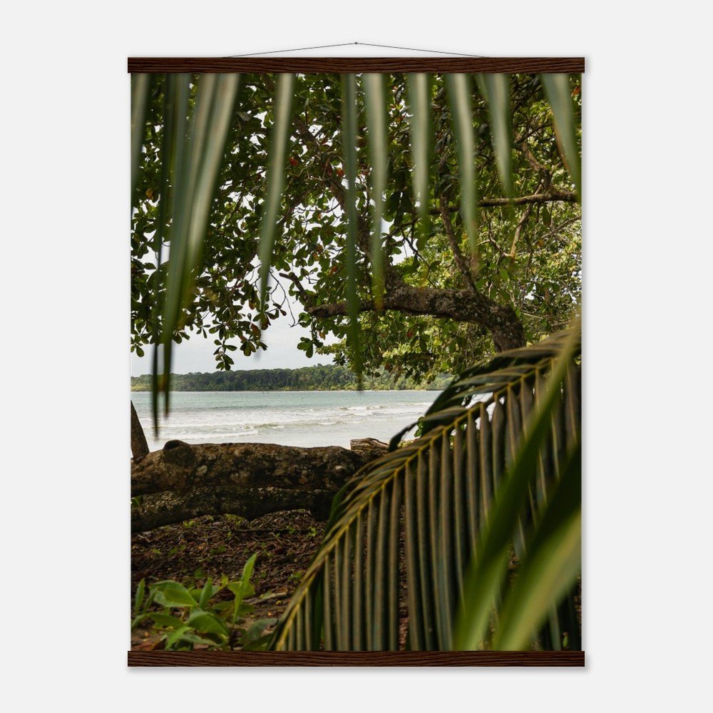 62fca8fe-aa93-4697-8feb-a937296b8767