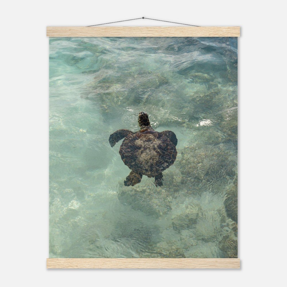 63bd8a18-849b-4e8d-bee6-ac85c355aec1