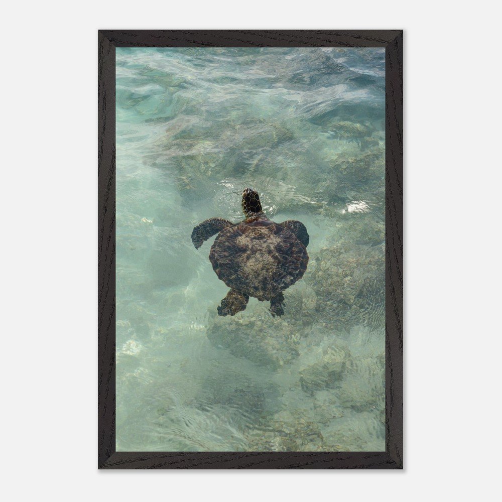 67be76b2-31d6-4793-91e2-b43f846be54d