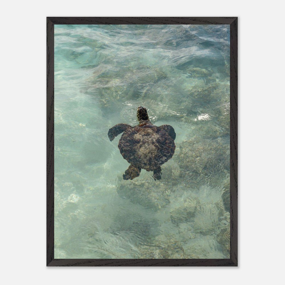 7161325f-e62f-4fa8-bf7a-81ad17af8963