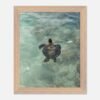 framed print sea turtle hawaii photography fine art wall decor print beach aesthetic poster living room wall art tropical gift for traveler 716167b3-68fa-425d-b8c2-62763caddb7b