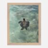 framed print sea turtle hawaii photography fine art wall decor print beach aesthetic poster living room wall art tropical gift for traveler 72b3ccee-9f07-49ac-ab6e-b6d2fe485275