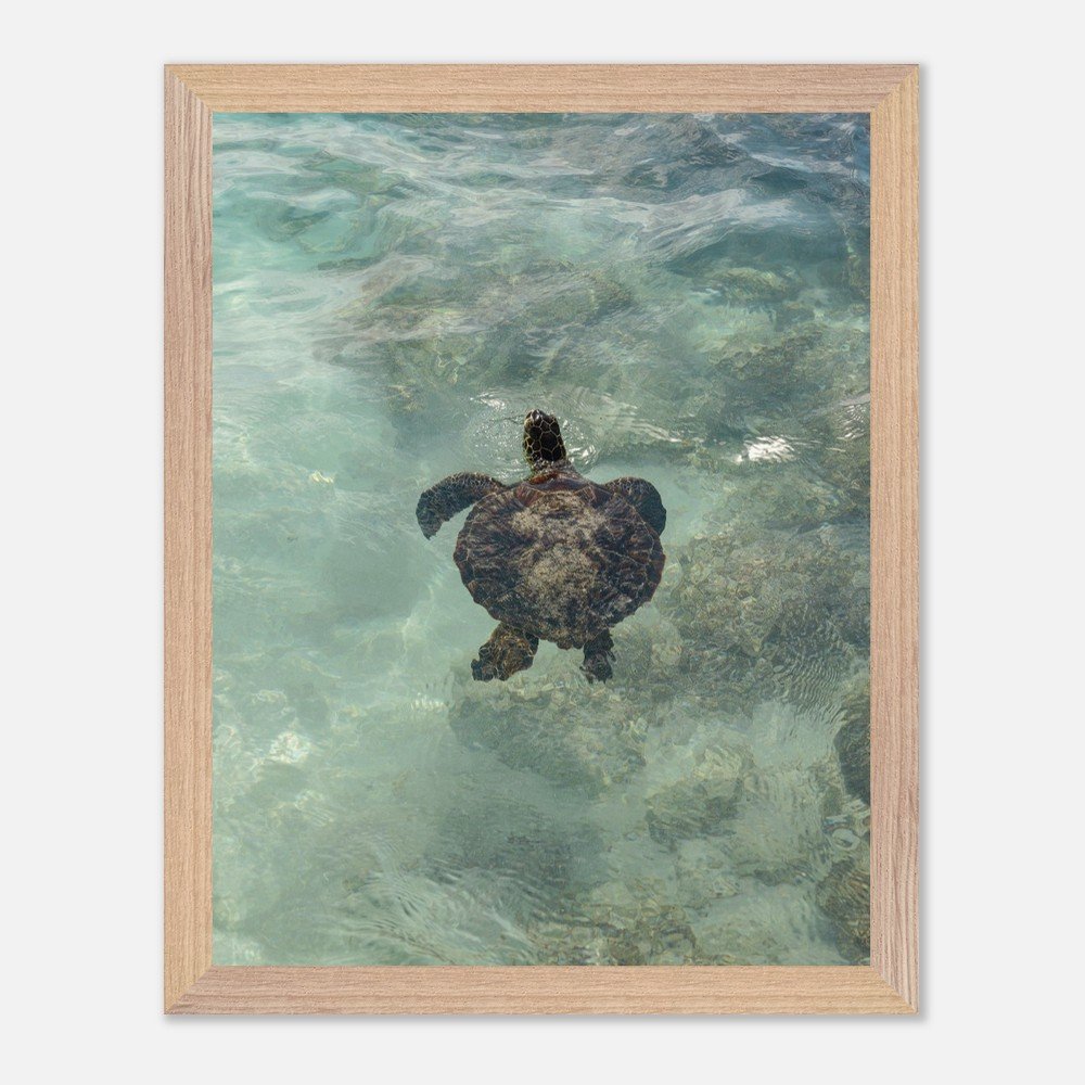 72b3ccee-9f07-49ac-ab6e-b6d2fe485275