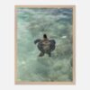 framed print sea turtle hawaii photography fine art wall decor print beach aesthetic poster living room wall art tropical gift for traveler 74d24f30-b8ce-4a63-9945-ea5b58969cdb