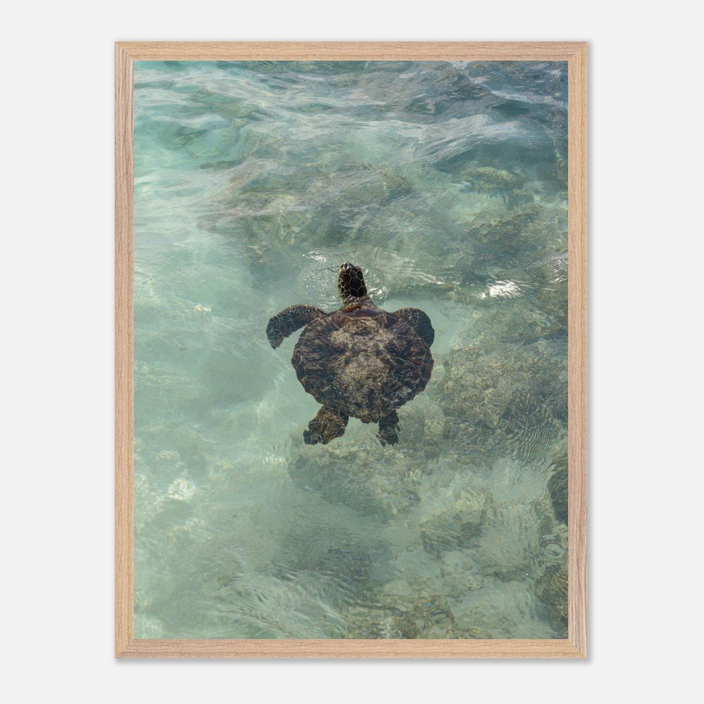 74d24f30-b8ce-4a63-9945-ea5b58969cdb