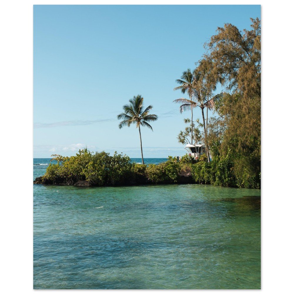 74e213b4-e225-48f6-b748-a25d5e34d78f