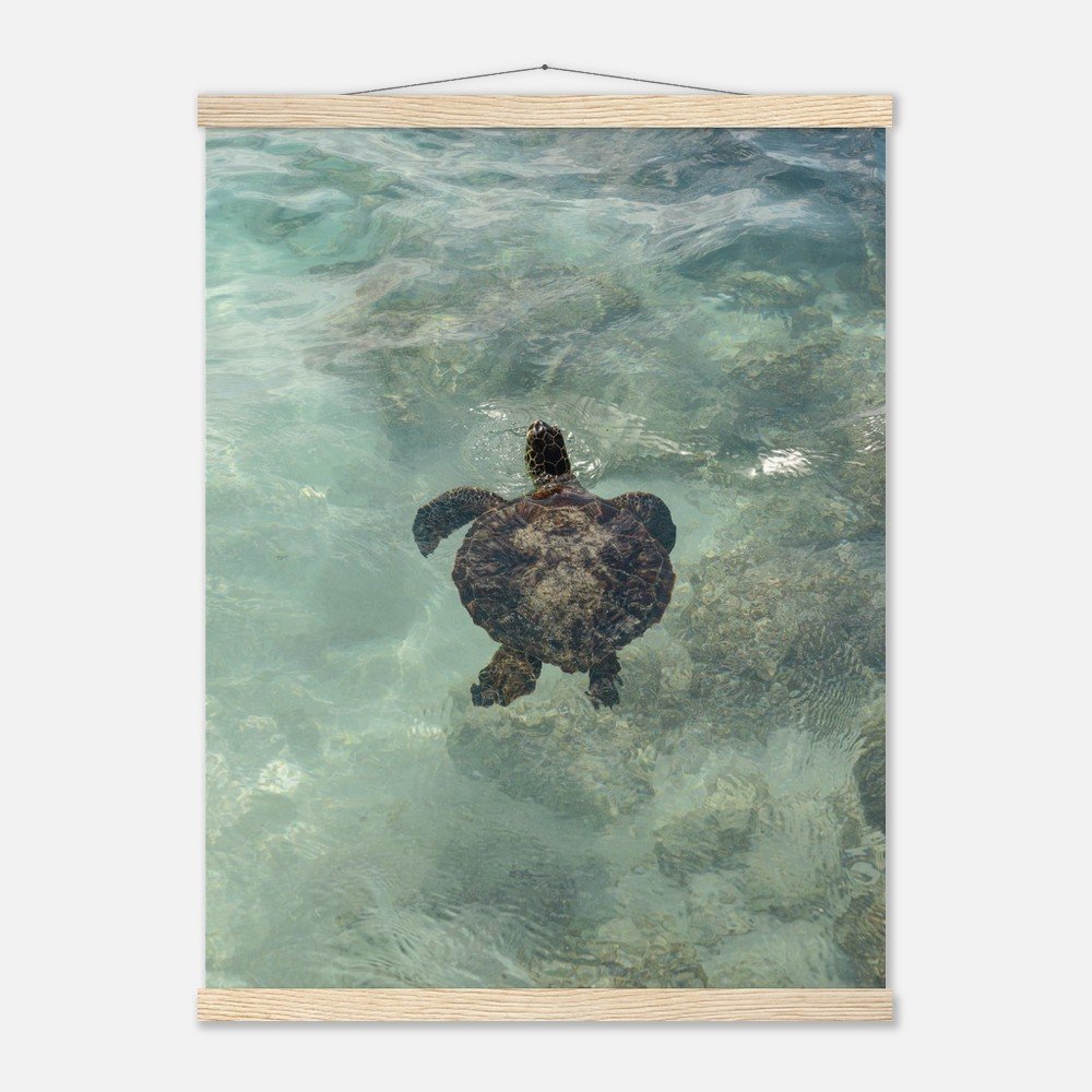 75074855-519a-43c5-96d4-128fe736fec9