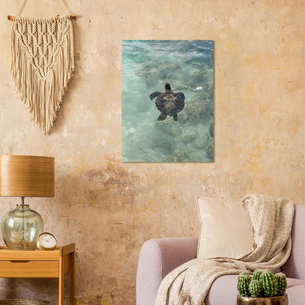 77584269-1b5b-4c79-9902-0305bd2bb9a0