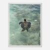 framed print sea turtle hawaii photography fine art wall decor print beach aesthetic poster living room wall art tropical gift for traveler 7ff0c34f-c1a2-48ed-a61d-1b9a1abf0586