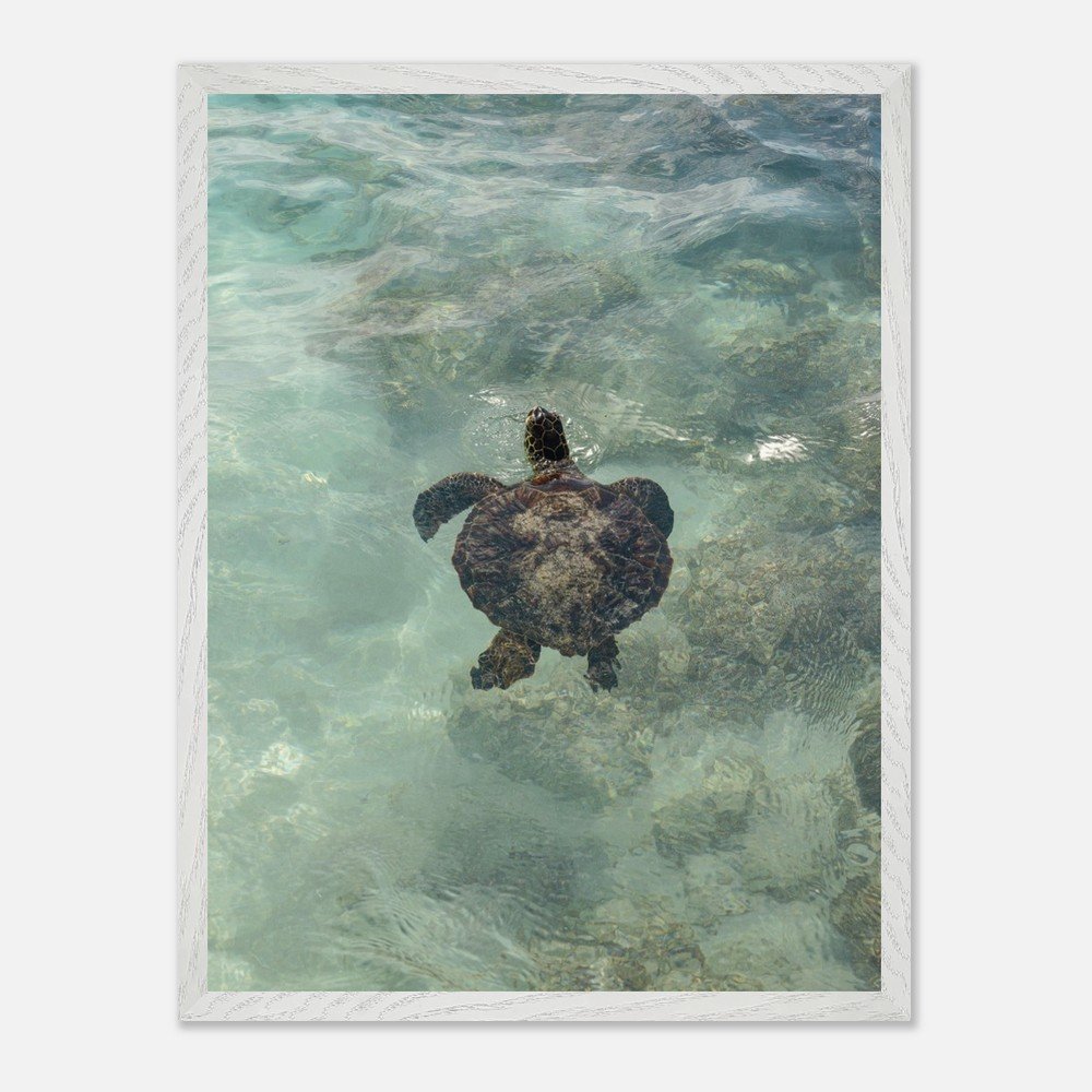 7ff0c34f-c1a2-48ed-a61d-1b9a1abf0586